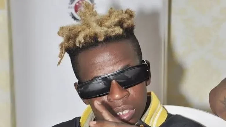Dj Congélateur (Dr)