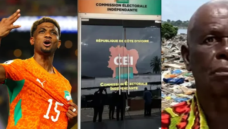 Mel Touré collage