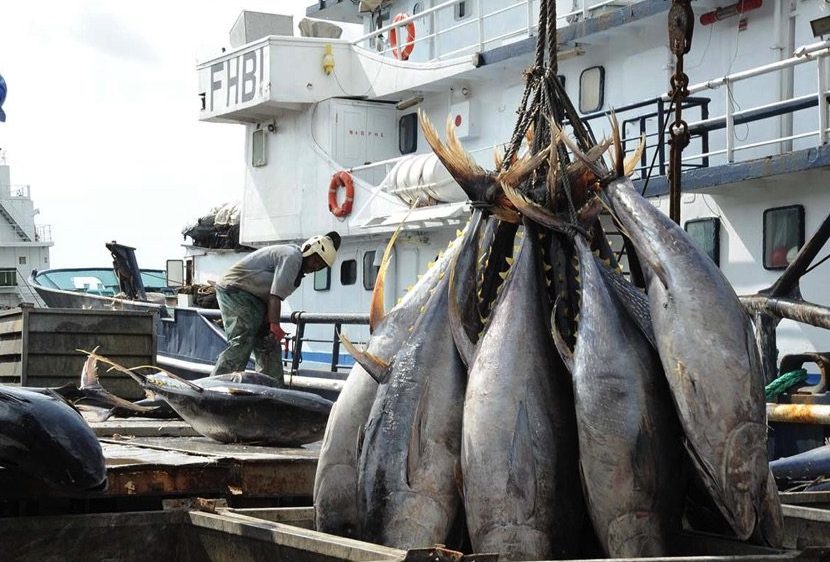 Repos biologique 2026 en Côte d’Ivoire : fermeture des pêches dès le 1er juillet pour préserver les ressources