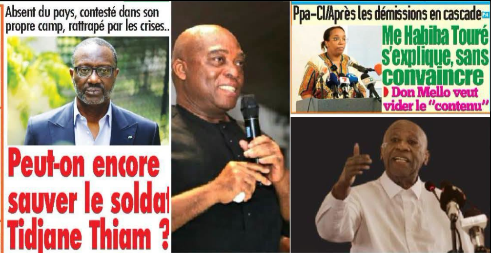 Mel Touré collage / JDA