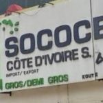 SOCOCE CI