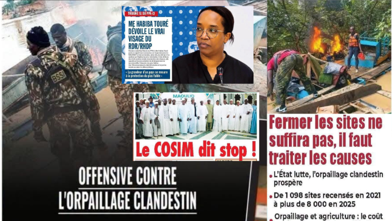 Collage Mel Touré / JDA