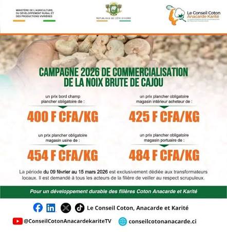 Le Conseil Coton, Anacarde et Karité