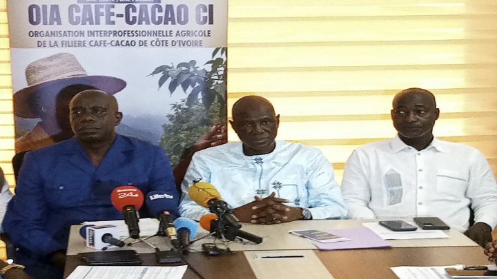 Café-Cacao en Côte d’Ivoire : l’OIA rejette les appels à la grève et appelle au calme sur les prix