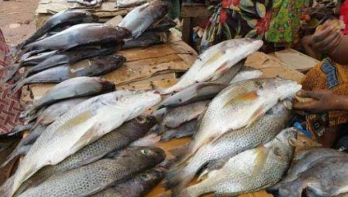 Côte d’Ivoire : le prix du carton de chinchard baisse de 5 000 FCFA après la colère des commerçantes