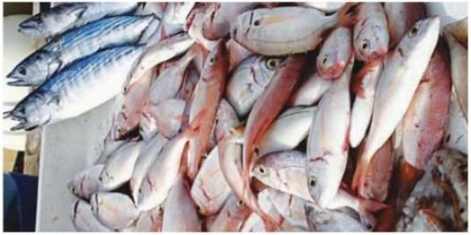 Côte d’Ivoire : le prix du carton de chinchard baisse de 5 000 FCFA après la colère des commerçantes