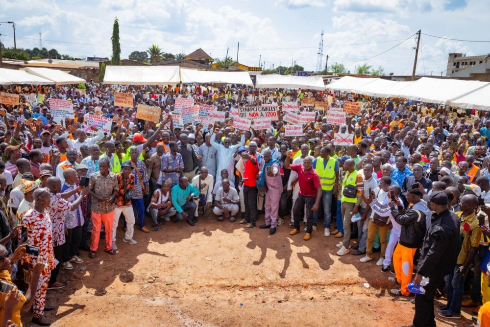 Cacao en Côte d’Ivoire : après sa convocation, Koné Moussa mobilise plus de 3 000 producteurs et réclame le départ du DG